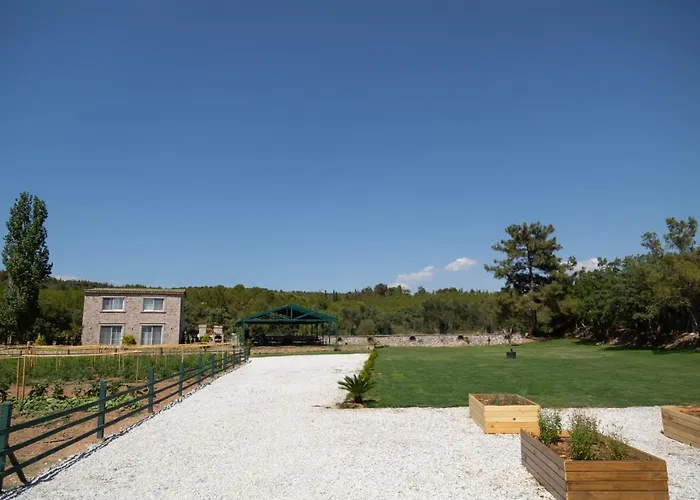 Leone Natural * Ayvalı