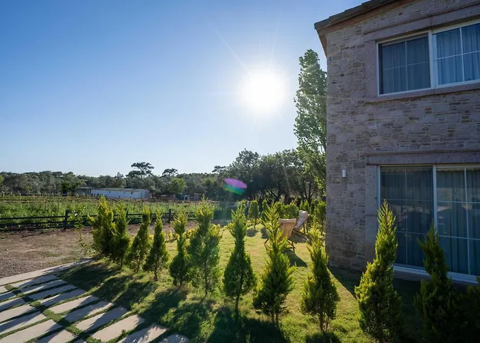 Leone Natural * Ayvalı