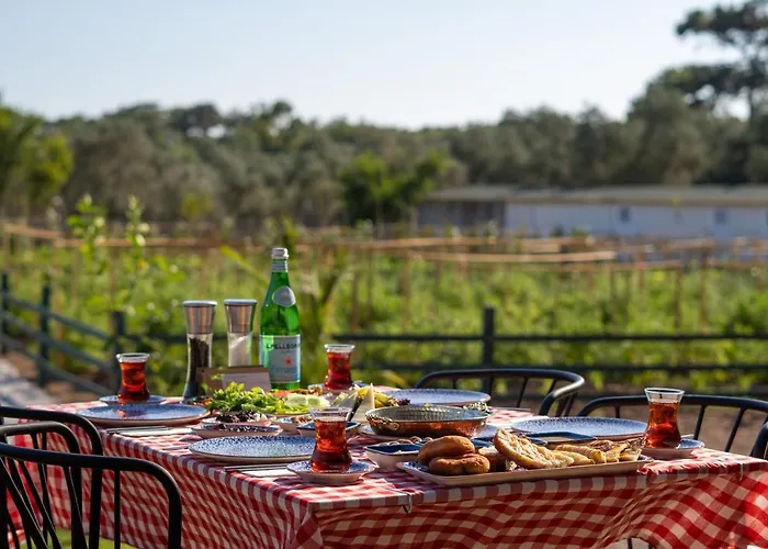 Leone Natural Hotel Ayvalı