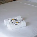 Hotel Leone Natural *