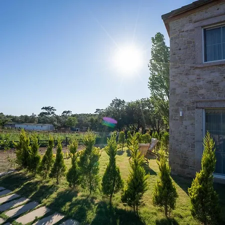 Leone Natural * Ayvalı