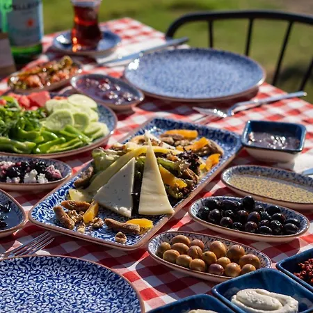 Leone Natural Hotel Ayvalı