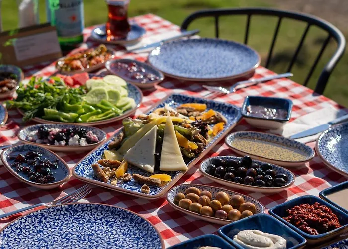 Leone Natural Hotel Ayvalı